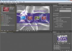 Wydawnictwo Strefa Kursów Kurs Adobe Encore CS4