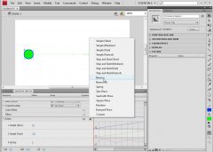 Wydawnictwo Strefa Kursów Kurs Adobe Flash Pro CS4