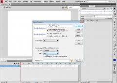 Wydawnictwo Strefa Kursów Kurs Adobe Flash Pro CS4