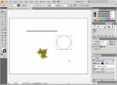 Wydawnictwo Strefa Kursów Kurs Illustrator CS4
