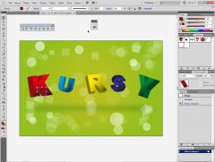 Wydawnictwo Strefa Kursów Kurs Adobe Illustrator CS5