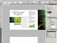 Wydawnictwo Strefa Kursów Kurs Adobe InDesign CS5