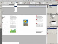 Wydawnictwo Strefa Kursów Kurs Adobe InDesign CS5