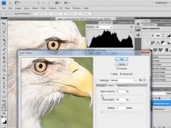 Wydawnictwo Strefa Kursów Kurs Adobe Photoshop zaawansowany