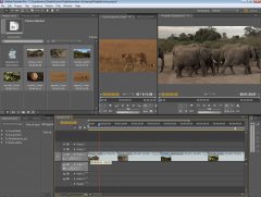Wydawnictwo Strefa Kursów Kurs Adobe Premiere Pro CS5