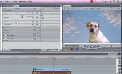 Wydawnictwo Strefa Kursów Kurs Apple Final Cut studio