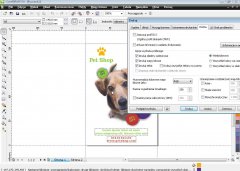 Wydawnictwo Strefa Kursów Kurs CorelDRAW x4