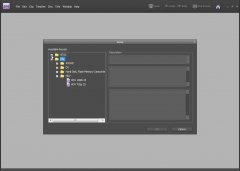 Wydawnictwo Strefa Kursów Kurs Premiere Elements 8