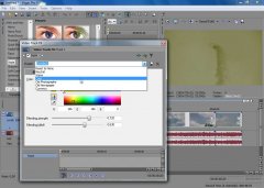 Wydawnictwo Strefa Kursów Kurs Sony Vegas Pro 9