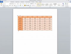 Wydawnictwo Strefa Kursów Kurs Word 2010 esencja