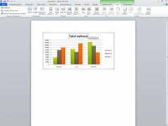 Wydawnictwo Strefa Kursów Kurs Word 2010 esencja