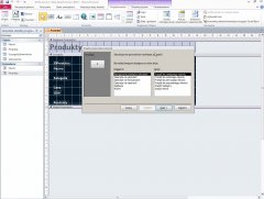 Wydawnictwo Strefa Kursów Kurs Access 2010 esencja