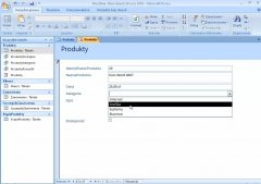 Wydawnictwo Strefa Kursów Kurs Access 2007