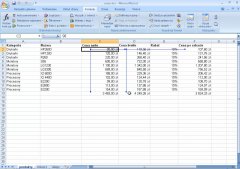 Wydawnictwo Strefa Kursów Kurs Excel 2007 zaawansowany
